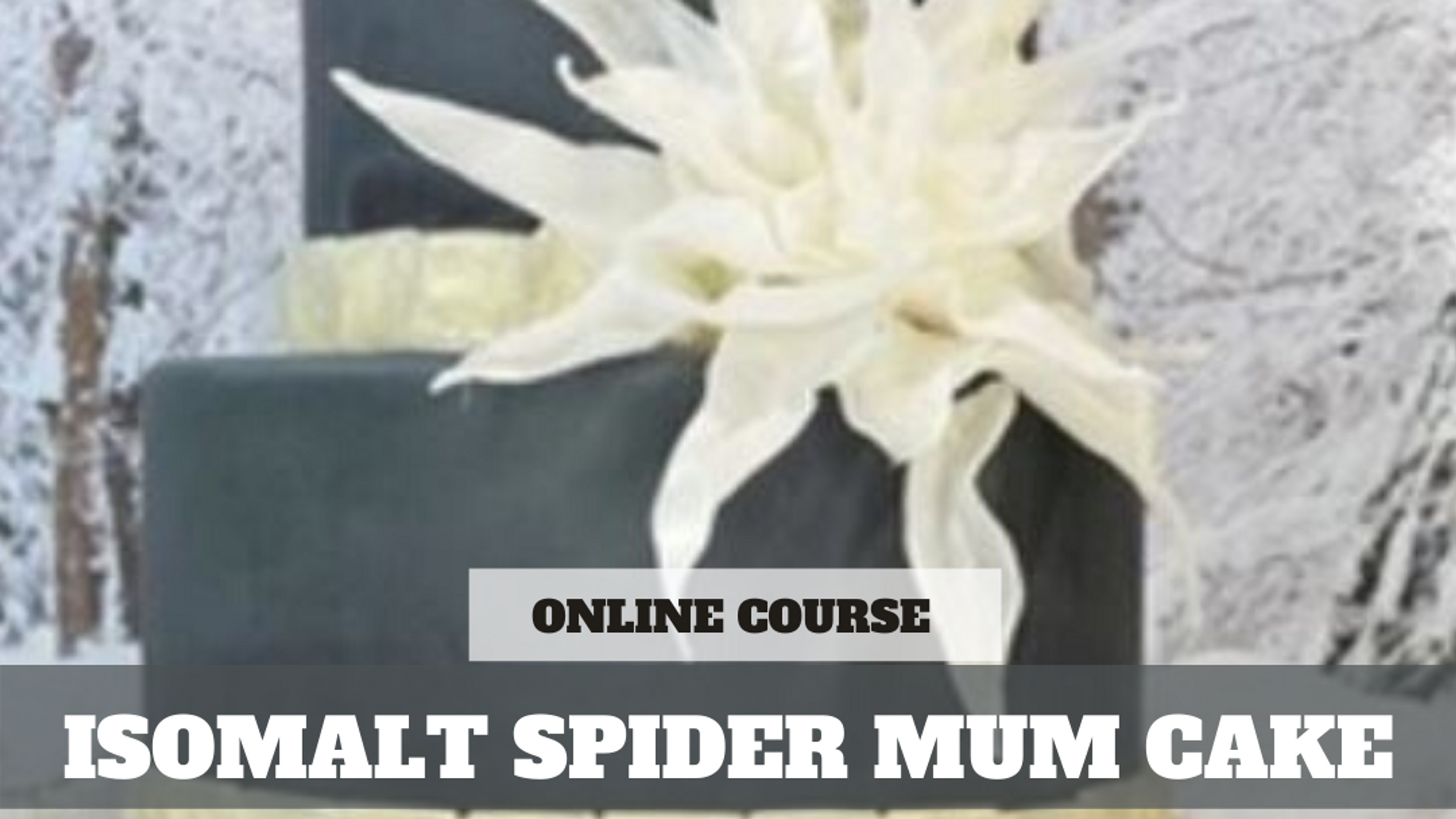 Paid Video Preview: Create an Isomalt Mosaic Tile and Spider Mum Cake